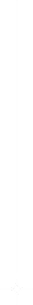star line 1